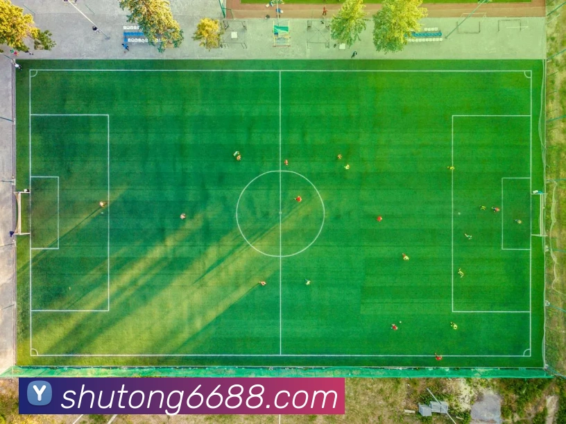 线上买球平台生态图