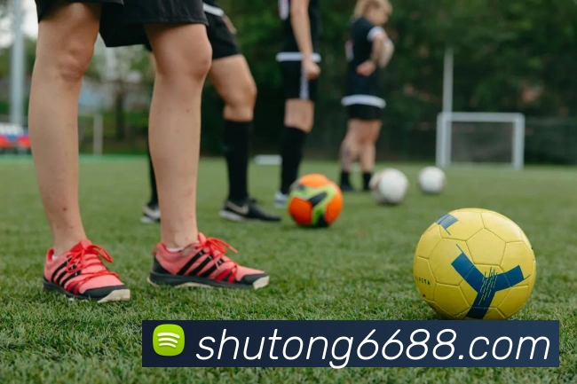 线上买球APP 封面图