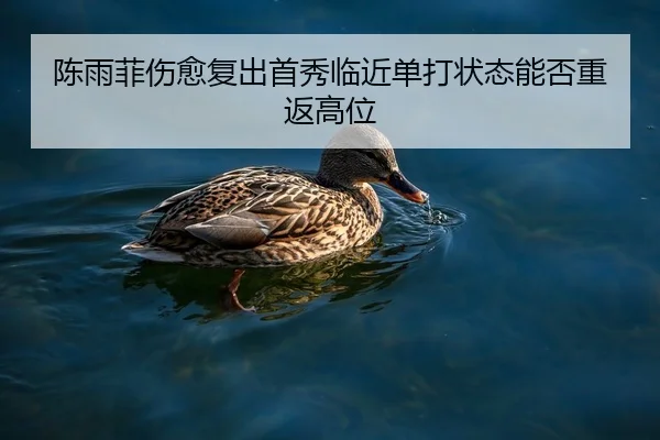 陈雨菲伤愈复出首秀临近单打状态能否重返高位